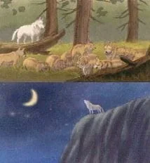 Волк с Лунного пика