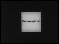 Метаморфоза