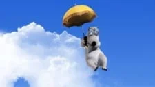 Я люблю небо