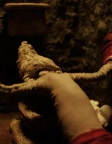 Органический круг