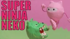 Кошка суперниндзя
