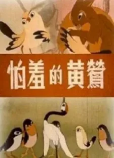 Застенчивая иволга